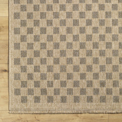 Jurek Beige & Brown Checkered Outdoor Area Rug - Ornate Home