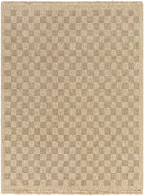 Jurek Beige Checkered Outdoor Area Rug - Ornate Home