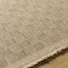 Jurek Beige Checkered Outdoor Area Rug - Ornate Home