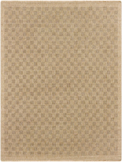 Jurek Beige Checkered Outdoor Area Rug - Ornate Home