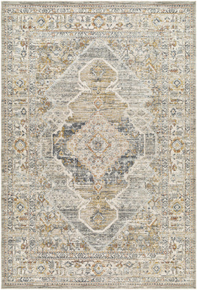 Jyler Traditional Area Rug - Clearance - Ornate Home