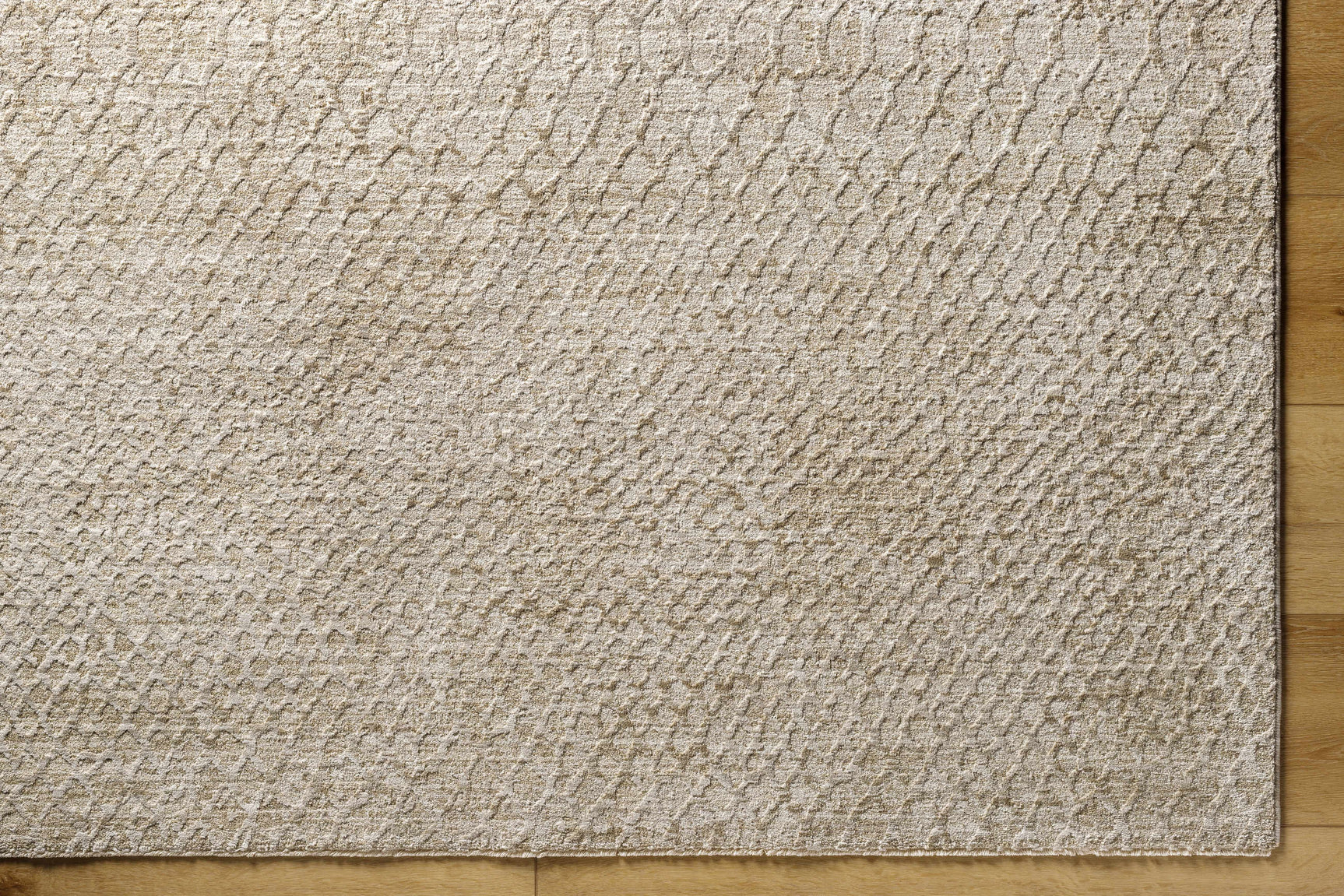 Kaiya Area Rug - Ornate Home