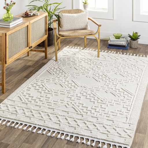 Kalkan High/Low Pile Rug with Tassels - Clearance - Ornate Home