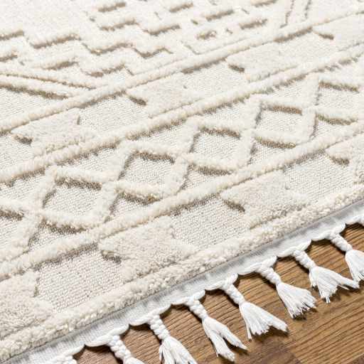 Kalkan High/Low Pile Rug with Tassels - Clearance - Ornate Home