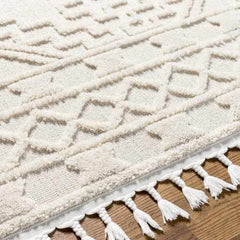 Kalkan High/Low Pile Rug with Tassels - Clearance - Ornate Home