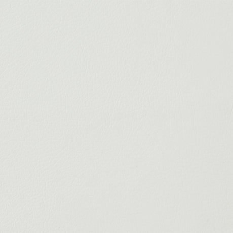 Kamaile White Side Chair (Set of 2) - Ornate Home