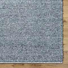 Kamil Area Rug - Clearance - Ornate Home
