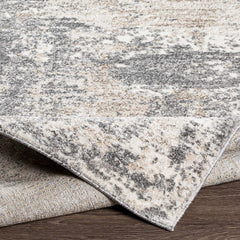 Kanwal Area Rug - Ornate Home