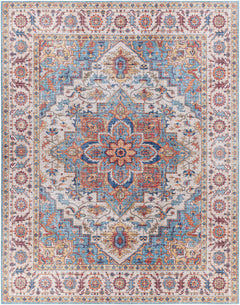 Kapaa Traditional Area Rug - Ornate Home