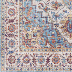 Kapaa Traditional Area Rug - Ornate Home
