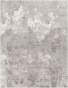 Kapsabet Area Rug - Clearance - Ornate Home