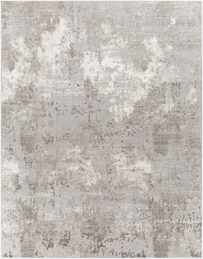 Kapsabet Area Rug - Clearance - Ornate Home