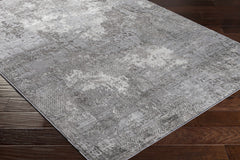 Kapsabet Area Rug - Clearance - Ornate Home