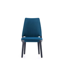 Kara Dining Side Chair in Blue (set of 2) - Ornate Home