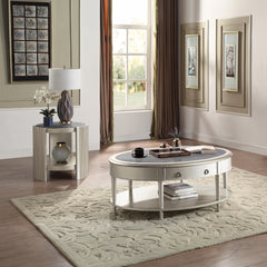 Kasa Champagne Coffee Table - Ornate Home