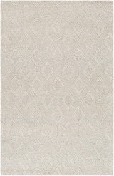 Kasib Beige Hand Woven Area Rug - Clearance - Ornate Home
