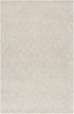 Kasib Beige Hand Woven Area Rug - Clearance - Ornate Home