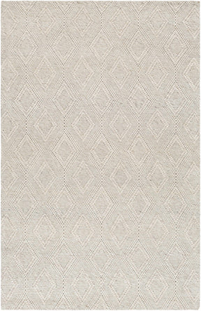 Kasib Beige Hand Woven Area Rug - Clearance - Ornate Home
