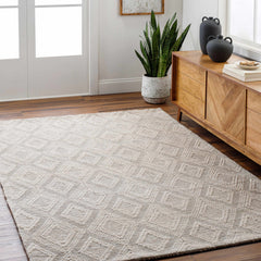 Kasib Beige Hand Woven Area Rug - Clearance - Ornate Home