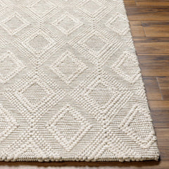 Kasib Beige Hand Woven Area Rug - Clearance - Ornate Home