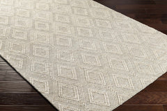Kasib Beige Hand Woven Area Rug - Clearance - Ornate Home
