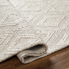 Kasib Beige Hand Woven Area Rug - Clearance - Ornate Home