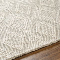 Kasib Beige Hand Woven Area Rug - Clearance - Ornate Home