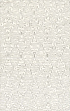 Kasib Cream Hand Woven Area Rug - Clearance - Ornate Home