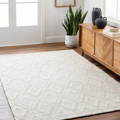 Kasib Cream Hand Woven Area Rug - Clearance - Ornate Home
