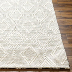 Kasib Cream Hand Woven Area Rug - Clearance - Ornate Home