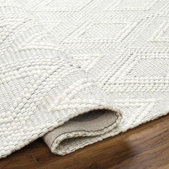 Kasib Cream Hand Woven Area Rug - Clearance - Ornate Home