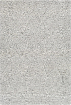 Kasib Gray Hand Woven Area Rug - Clearance - Ornate Home