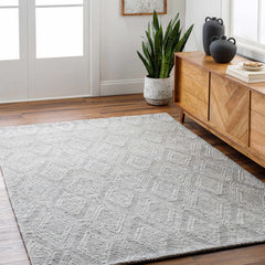 Kasib Gray Hand Woven Area Rug - Clearance - Ornate Home