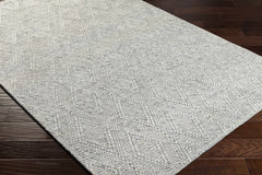 Kasib Gray Hand Woven Area Rug - Clearance - Ornate Home