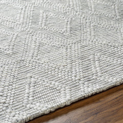 Kasib Gray Hand Woven Area Rug - Clearance - Ornate Home