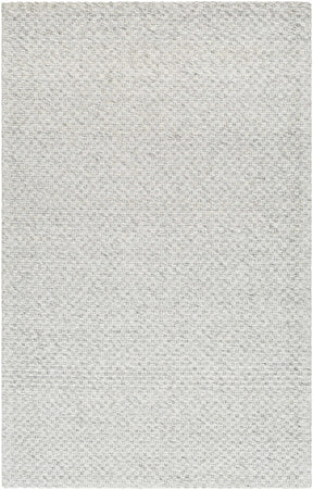 Kassa Gray Hand Woven Area Rug - Clearance - Ornate Home