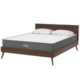 Kate White 8" Queen Mattress - Ornate Home