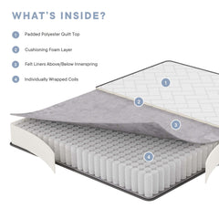 Kate White 8" Queen Mattress - Ornate Home