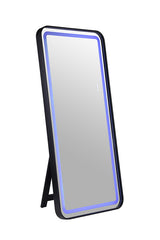 Katlyn Black Floor Mirror - Ornate Home