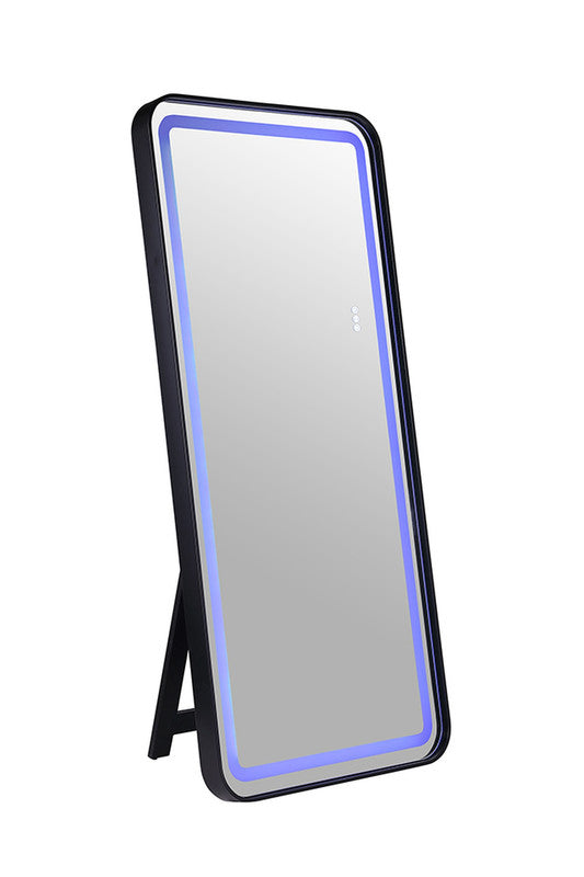 Katlyn Black Floor Mirror - Ornate Home