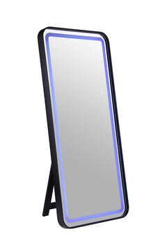 Katlyn Black Floor Mirror - Ornate Home