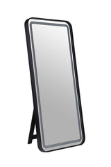 Katlyn Black Floor Mirror - Ornate Home