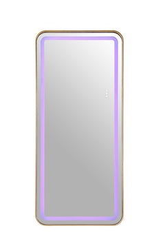 Katlyn Gold Floor Mirror - Ornate Home