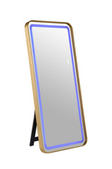 Katlyn Gold Floor Mirror - Ornate Home