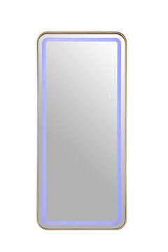 Katlyn Gold Floor Mirror - Ornate Home