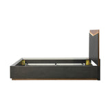 Kayner Charcoal Bed with LED Lights - Ornate Home