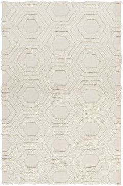 Kearsarge Area Rug - Clearance - Ornate Home