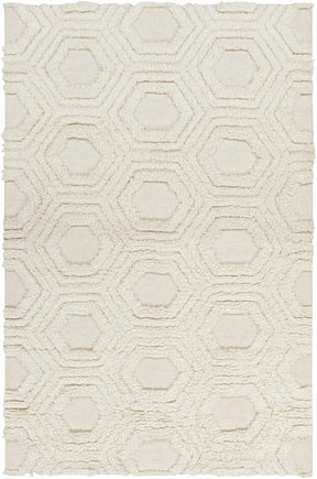 Kearsarge Area Rug - Clearance - Ornate Home