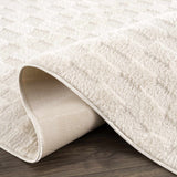 Keesa Checkered Area Rug - Ornate Home