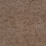 Keith Brown Chenille Chair w/Pillow - Ornate Home